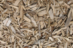 biomass boilers Trezaise